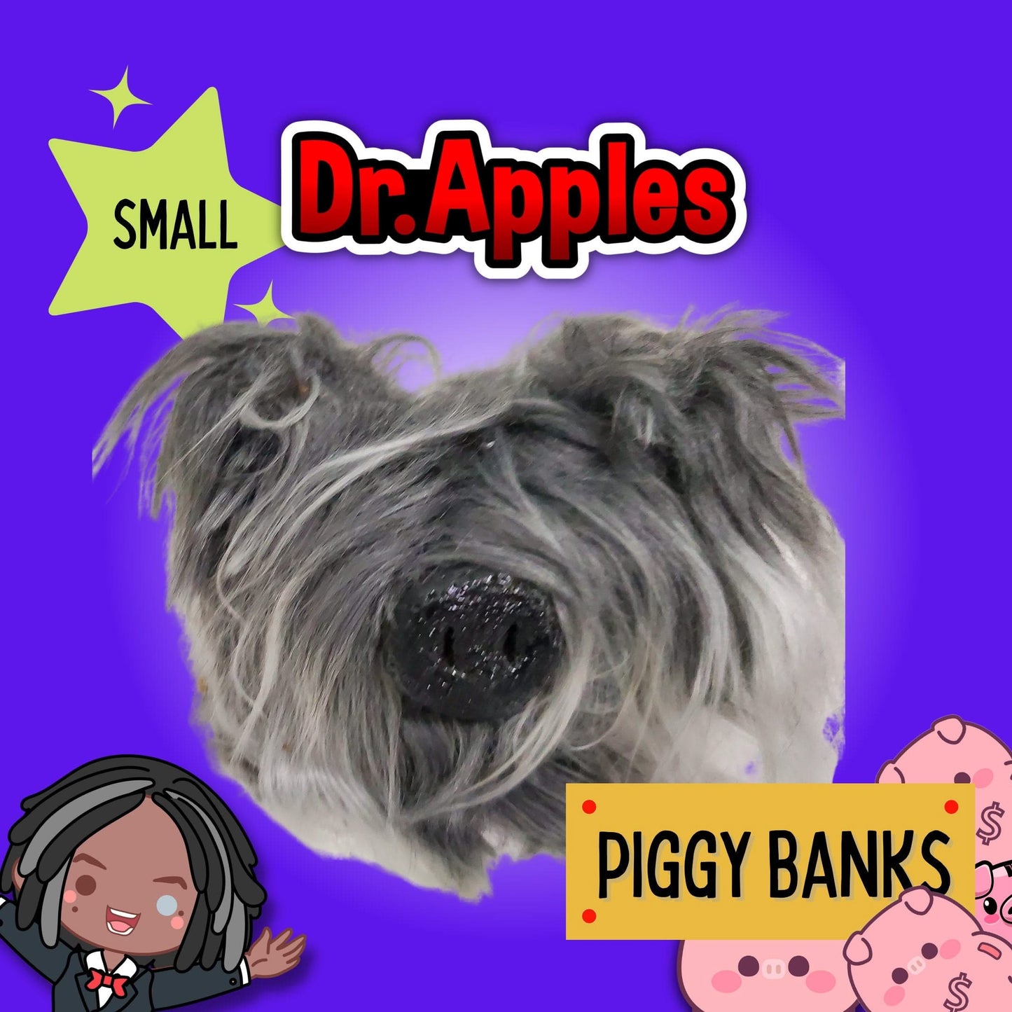 Adopt a - Thing - ga - ma - Pig | Piggy Bank | A Shaggy Guardian of Fortune | Dr. Apples - Dr. Apples - Lacye A Brown