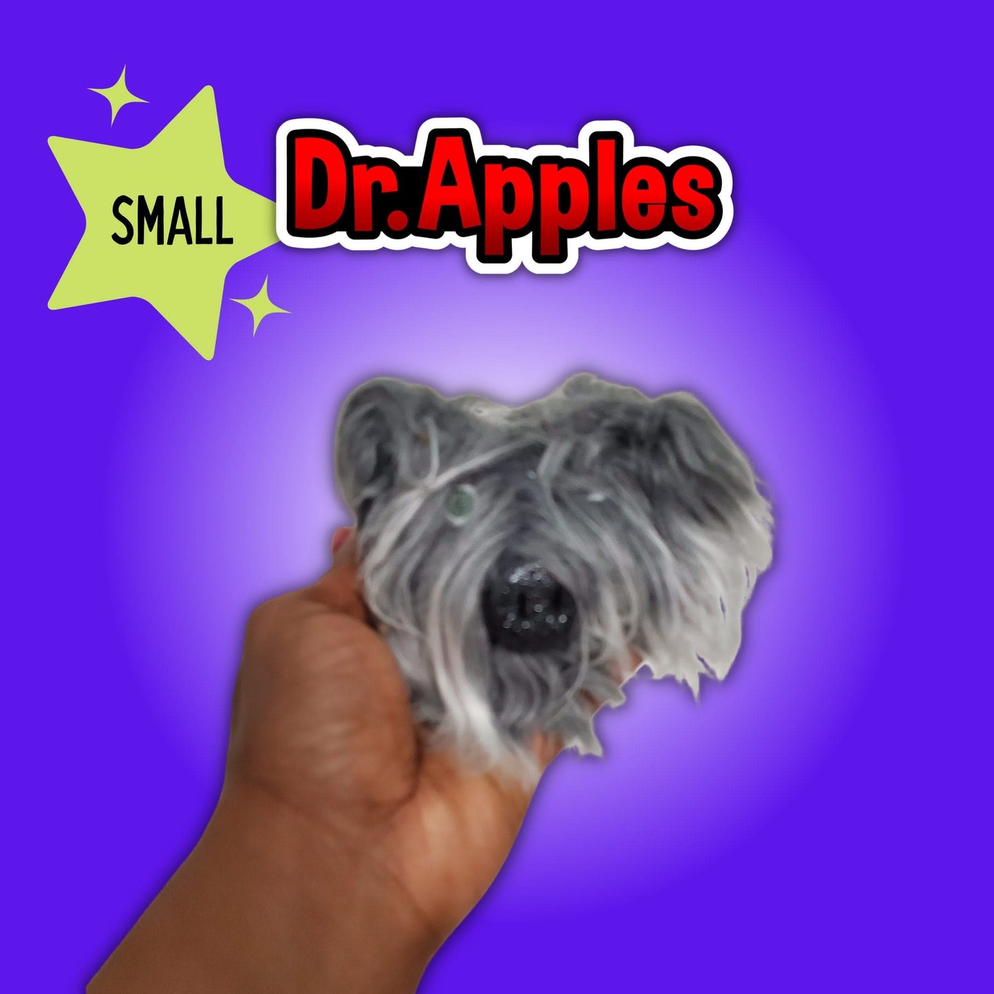 Adopt a - Thing - ga - ma - Pig | Piggy Bank | A Shaggy Guardian of Fortune | Dr. Apples - Dr. Apples - Lacye A Brown